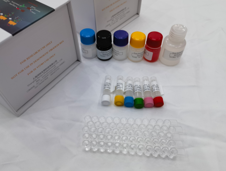 人前列腺素E2（PGE2）ELISA试剂盒