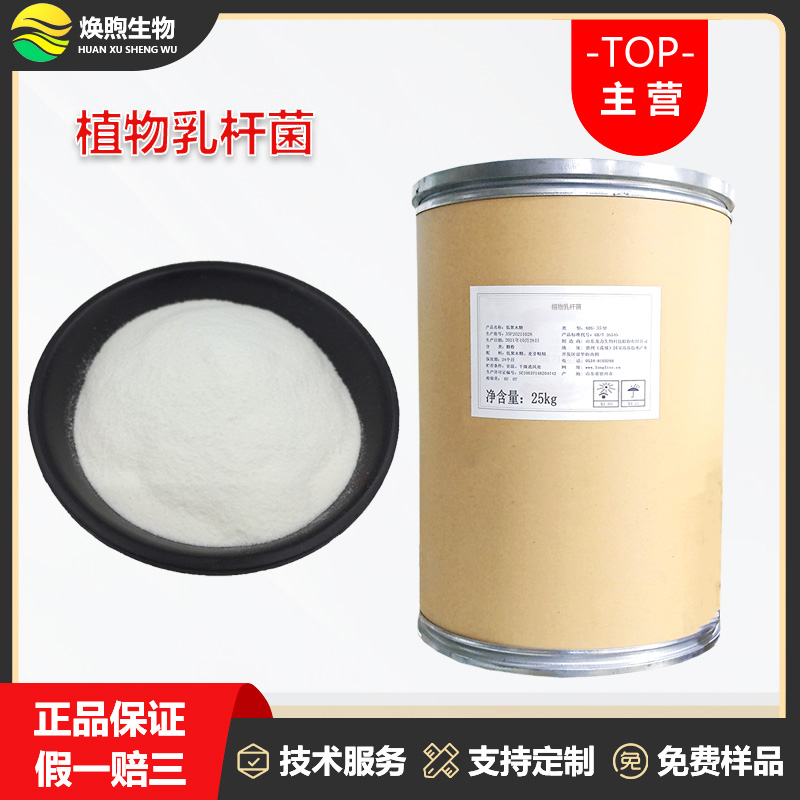 植物乳植杆菌厂家