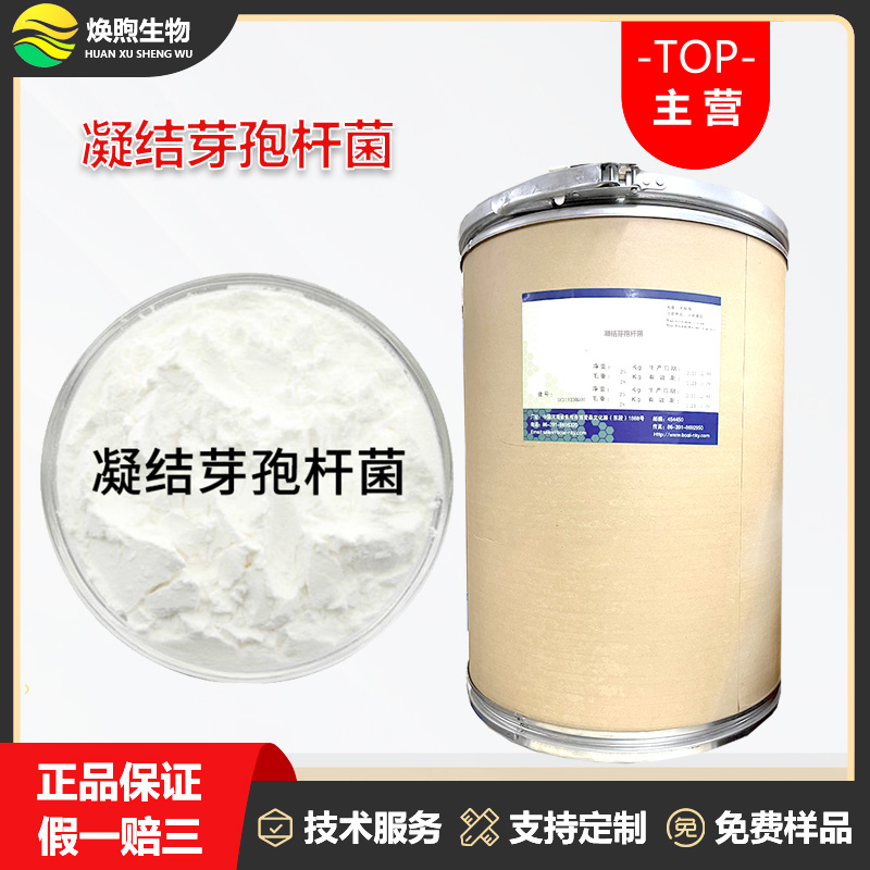 凝结芽孢杆菌厂家