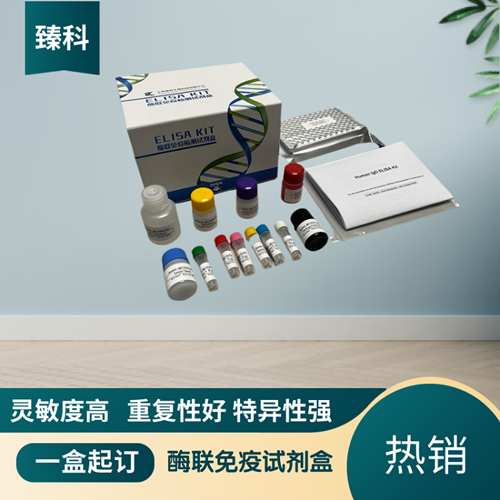 鱼白介素-1（IL-1）检测试剂盒（ELISA法）