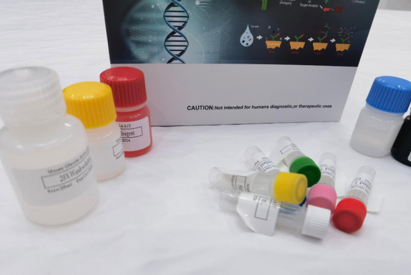 人生长相关蛋白43（GAP-43）ELISA试剂盒