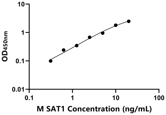 SAT1 ELISA KIT / 小鼠精脒/精胺N1-乙酰基转移酶1 ELISA试剂盒