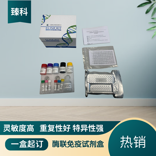 人抗中性粒细胞胞浆抗体(cANCA Ab）elisa试剂盒