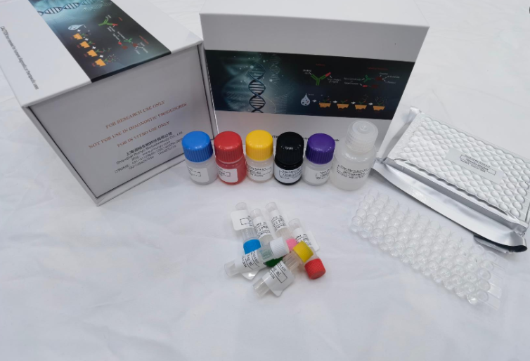 人血浆淀粉样蛋白P（SAP）ELISA试剂盒