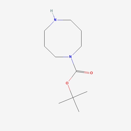 aladdin 阿拉丁 T680671 1,5-二氮杂环辛烷-1-甲酸叔丁酯 223797-64-6 ≥97%