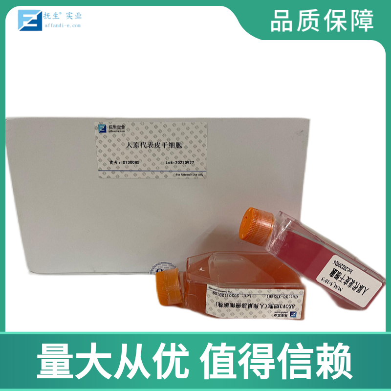 人Ⅱ型肺泡上皮细胞