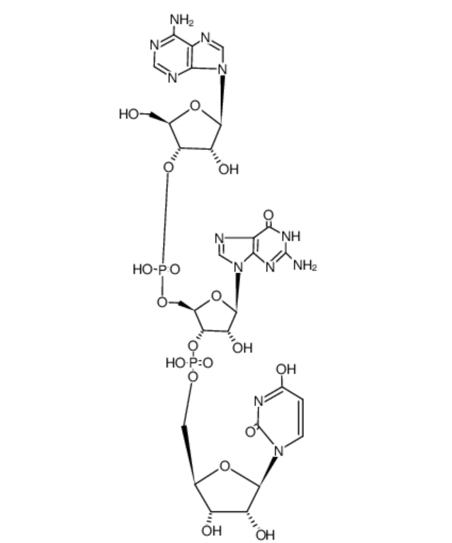 尿苷酰基-(5'→3')-鸟苷酰基-(5'→3')-腺苷 3489-28-9
