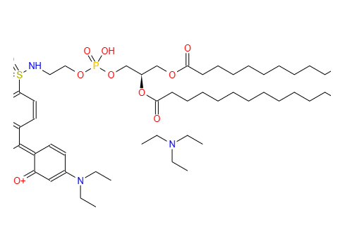 罗丹明DHPE [罗丹明B 1,2-二十六烷酰基-sn-甘油-3-磷酸乙醇胺,三乙铵盐]；126111-99-7；