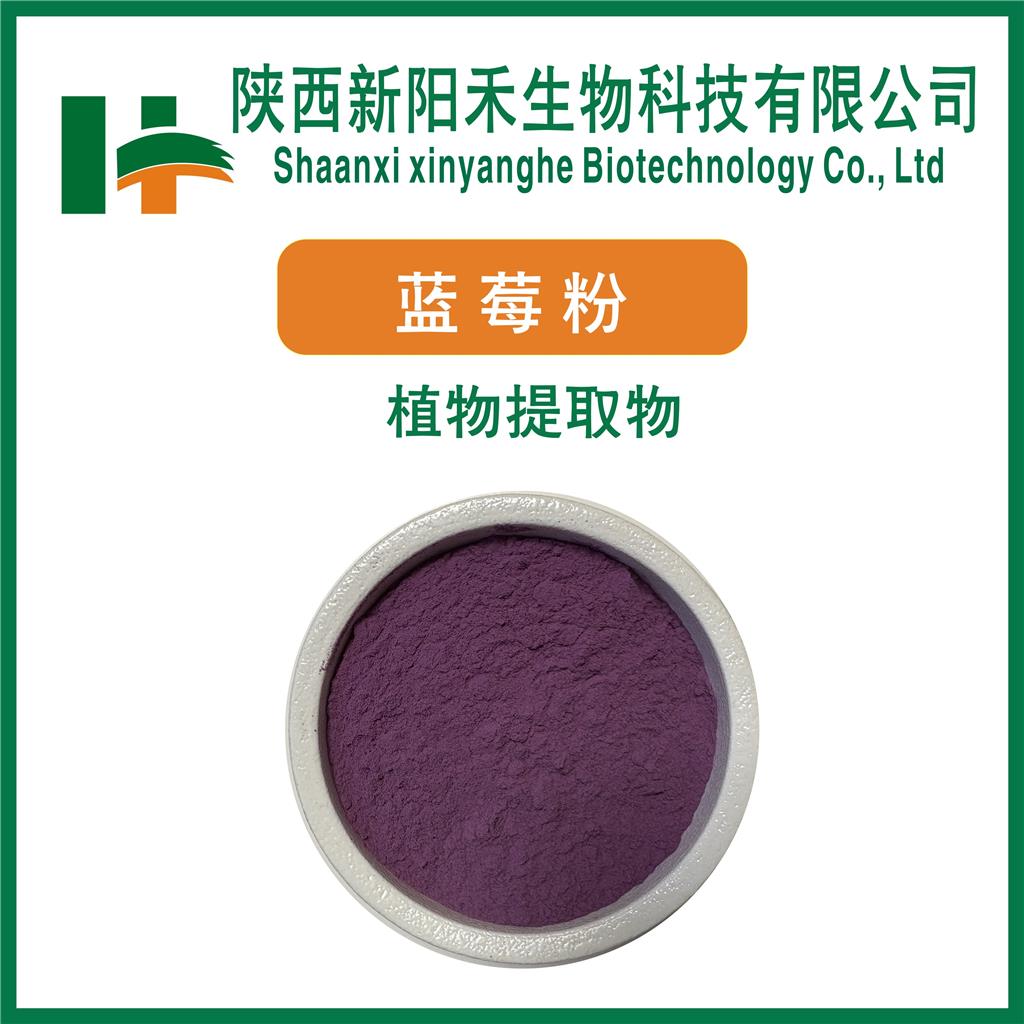蓝莓提取物     蓝莓果粉   蓝莓花青素