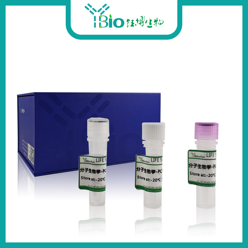Salmonella spp.沙门氏菌通用染料法荧光定量PCR试剂盒 YB-70868DPR