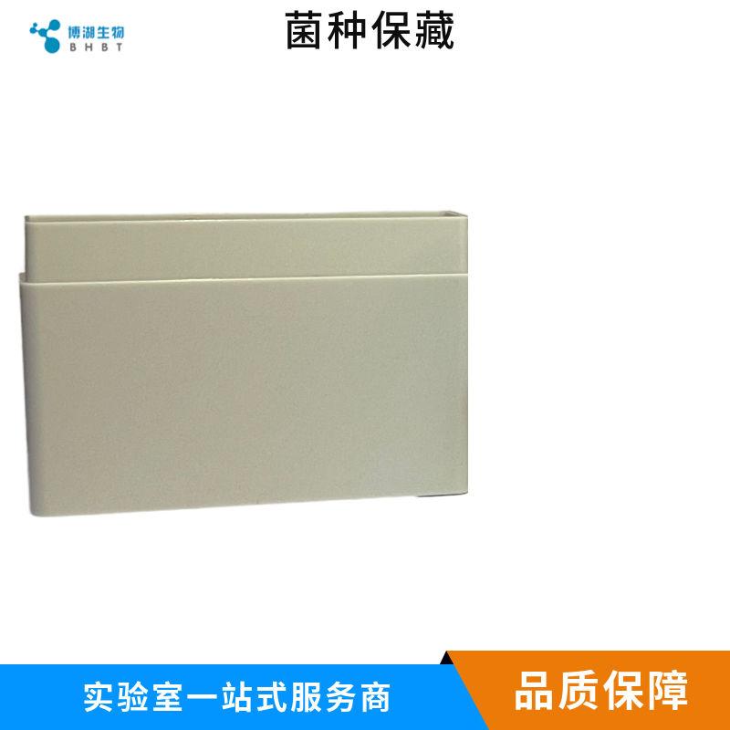 克鲁斯假丝酵母