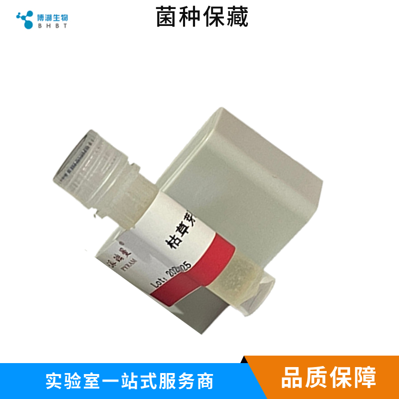 肠致病性大肠埃希氏菌