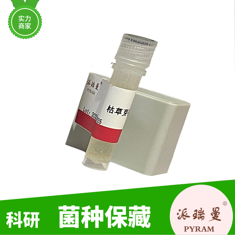 拜登罗尔红球菌