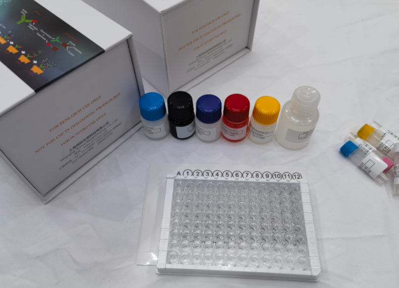 人整合素α2β1（ITGα2β1）ELISA试剂盒
