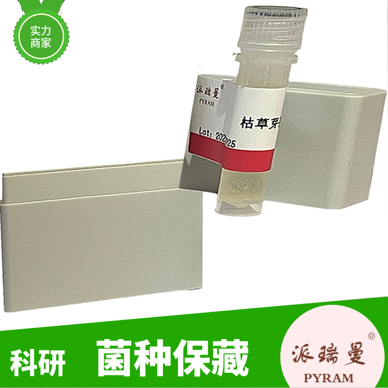 刺柄犁头霉