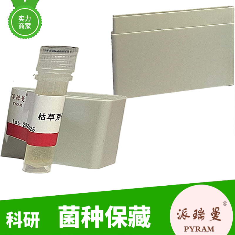 薄盖灵芝（薄树芝）