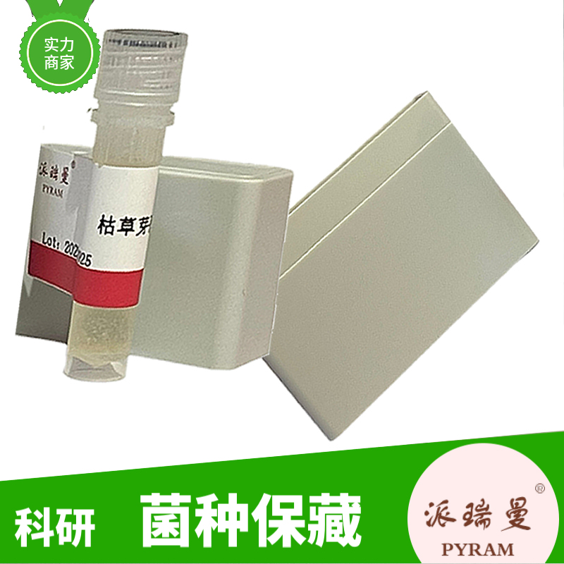 PAO1铜绿假单胞菌Luc标记质粒型