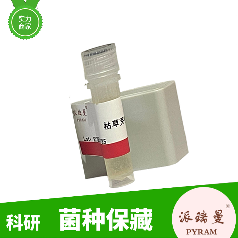 葱绿链霉菌