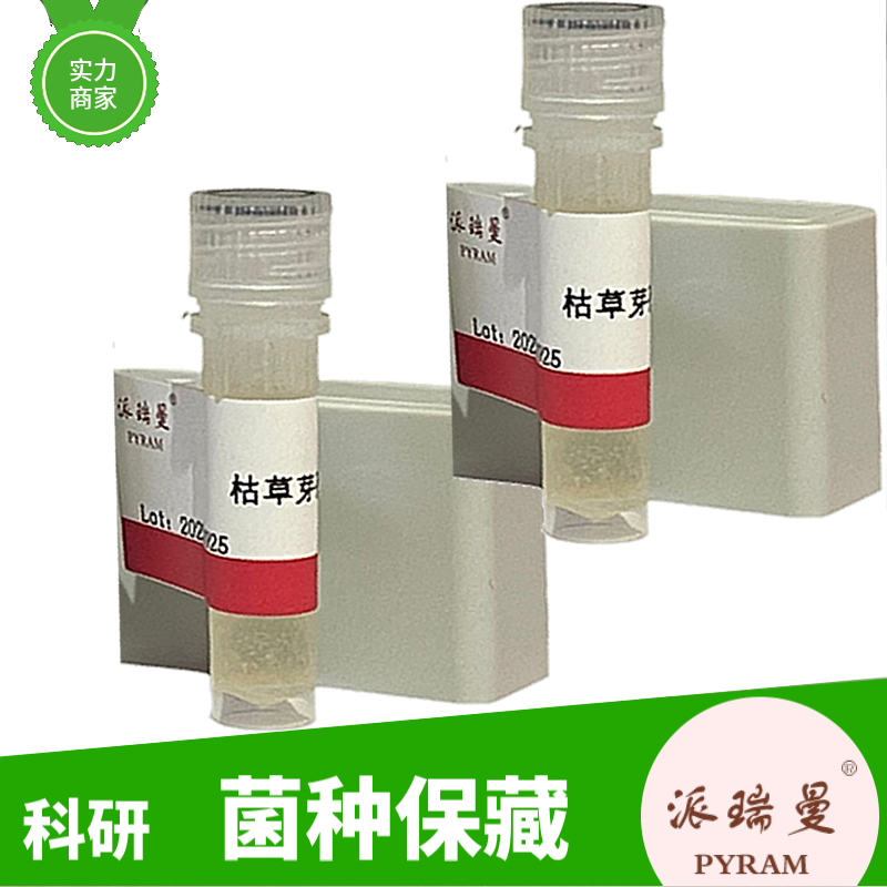 水杉赤枯病菌（污斑盘多毛孢）