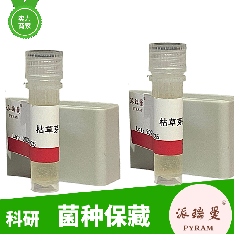 肠沙门氏菌肠亚种鸡血清型