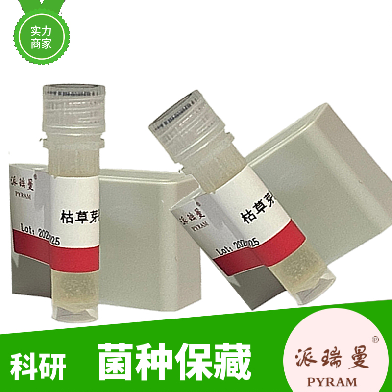 肠沙门氏菌肠亚种耶路撒冷血清型