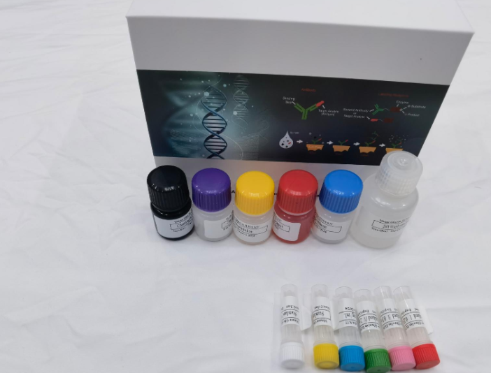 人肿瘤M2型丙酮酸激酶（TU M2-PK）ELISA试剂盒