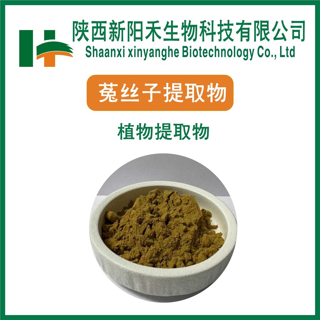 菟丝子提取物   菟丝子粉