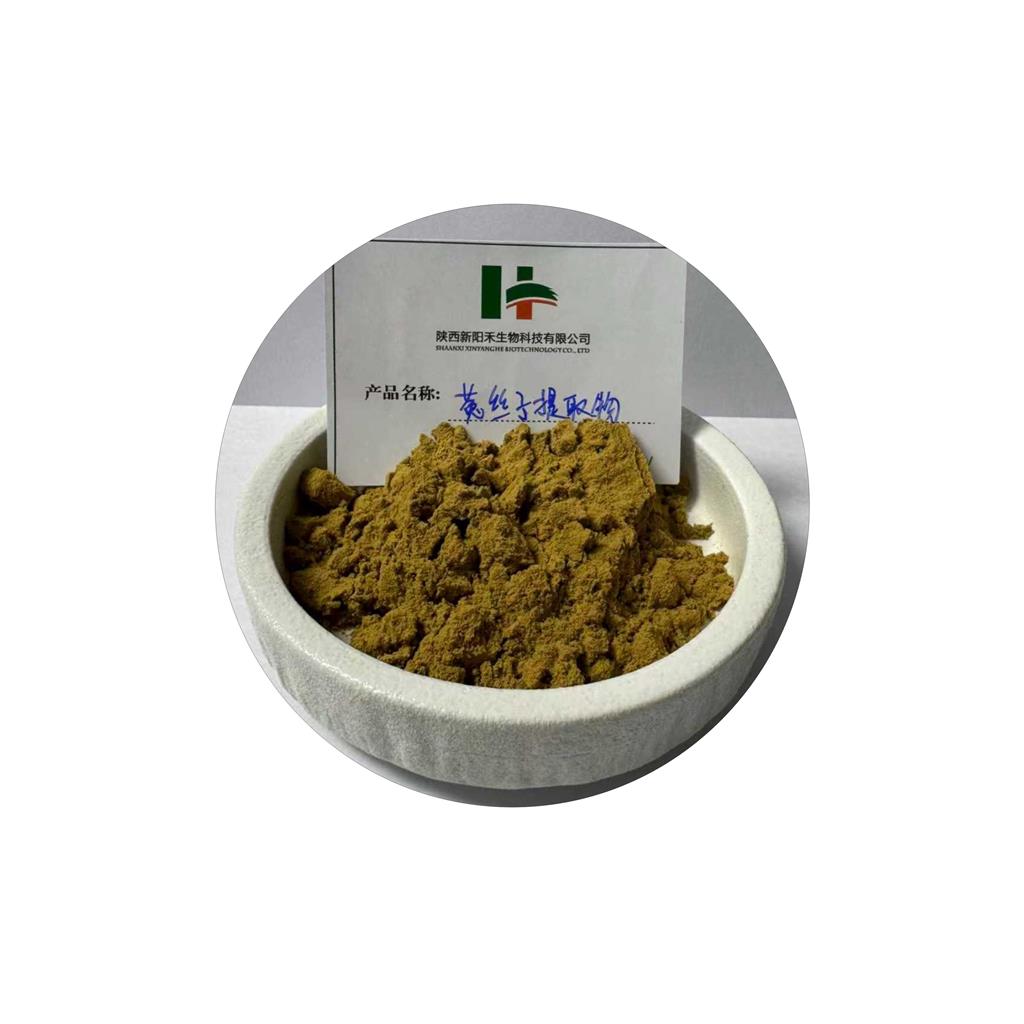 菟丝子提取物   菟丝子粉