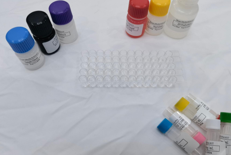 人类白细胞抗原A（HLA-A）ELISA试剂盒