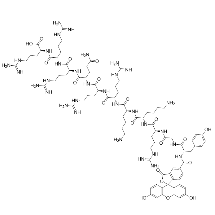 细胞穿膜肽 HIV-TAT (47-57)，1676104-81-6，5-FAM-HIV-1 tat Protein (47-57)，杭州固拓生物多肽物美价廉