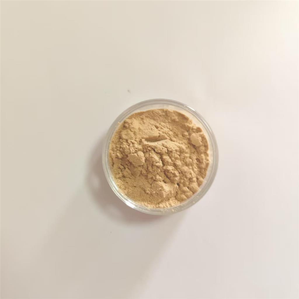 红参酶解粉含人参多糖红参提取