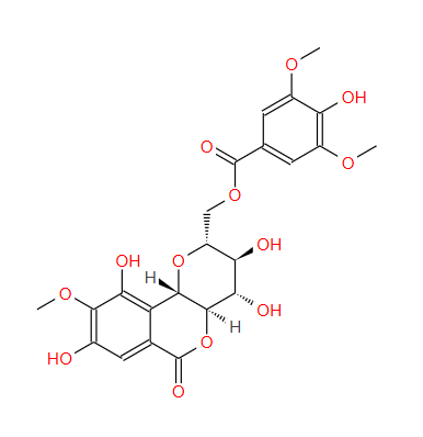 11-O-丁香酰基岩白菜素；126485-47-0；