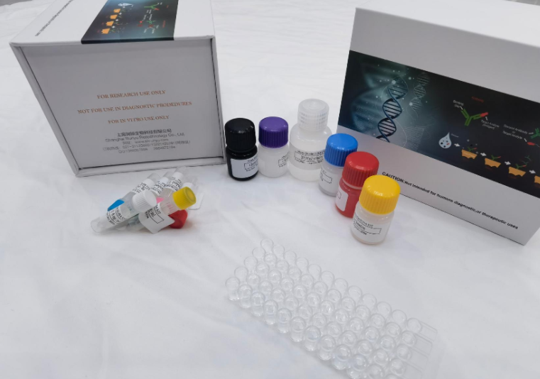 人细胞色素P4502D6（CYP2D6）ELISA试剂盒