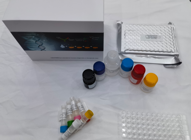 人粉尘螨特异性IgG4抗体（s-IgG4 Ab）ELISA试剂盒 