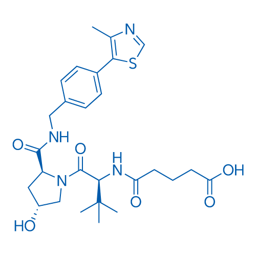 	5-(((S)-1-((2S,4R)-4-羟基-2-((4-(4-甲基噻唑-5-基)苄基)氨基甲酰基)吡咯烷-1-基)-3,3-二甲基-1-氧代丁烷-2-基)氨基)-5-氧代戊酸
