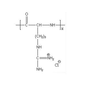 aladdin 阿拉丁 P489891 聚（L-精氨酸盐酸盐） 26982-20-7