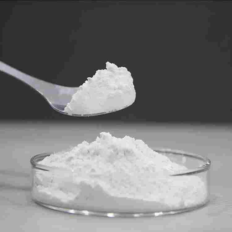 硅藻土、硅藻土颗粒载体