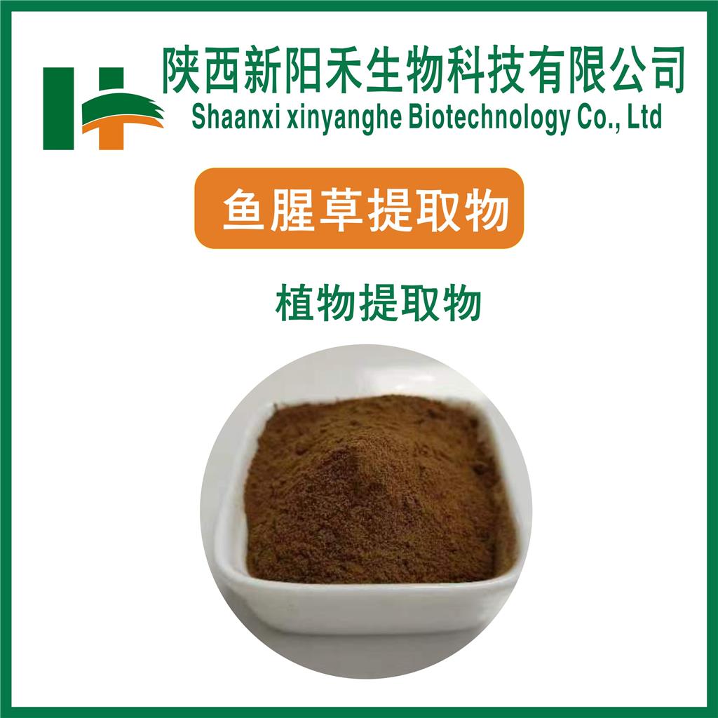 鱼腥草提取物     折耳根提取物