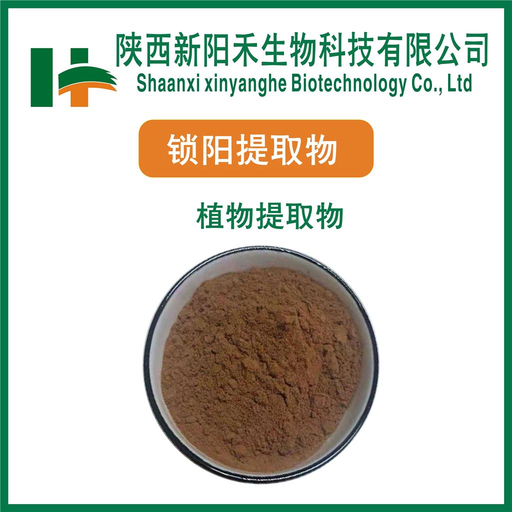 锁阳提取物     锁阳粉