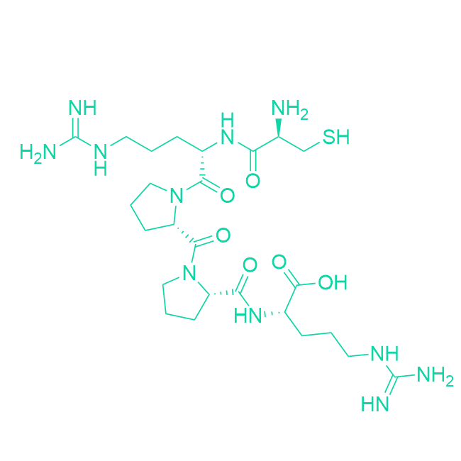 心脏归巢肽CRPPR/876460-72-9/Heart-homing peptide
