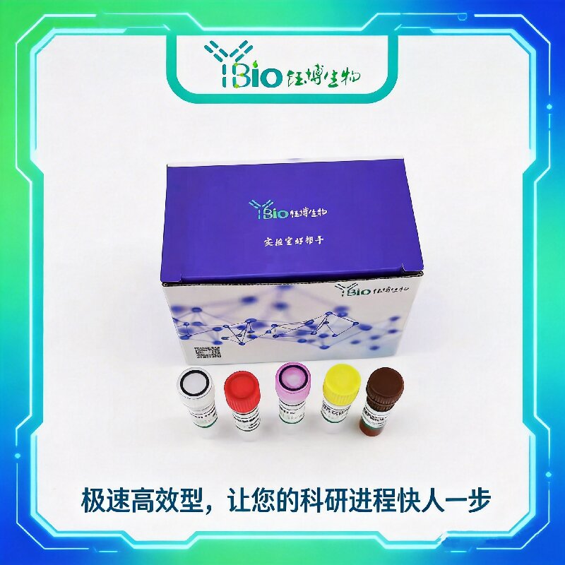 Fowl Adenovirus(FAdV-A)禽腺病毒A型染料法荧光定量PCR试剂盒 YB-70477DPR