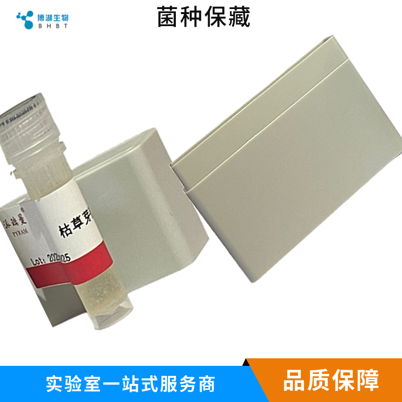 红城红球菌