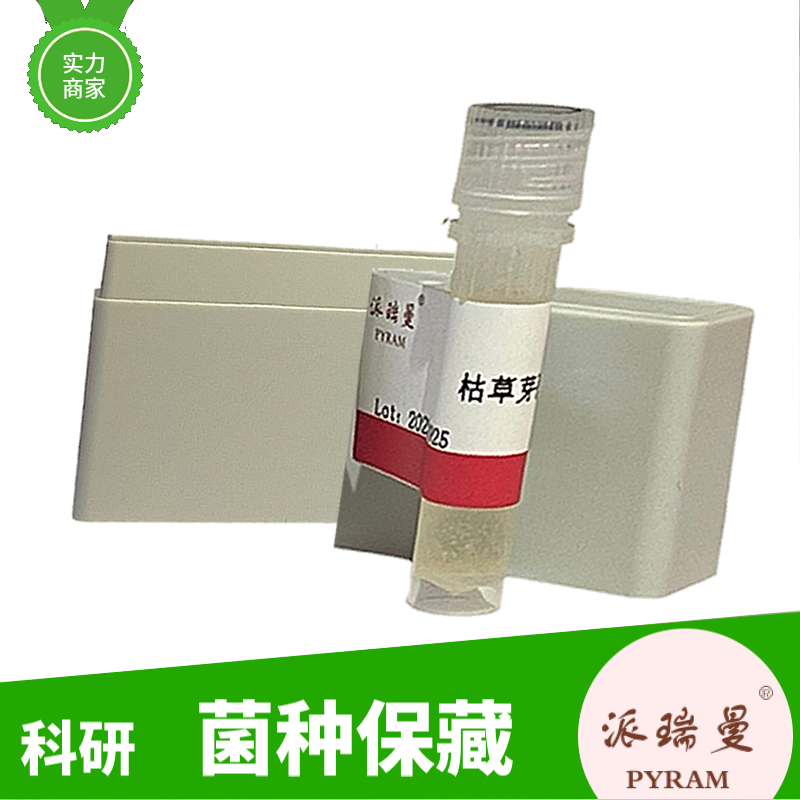 红法夫酵母