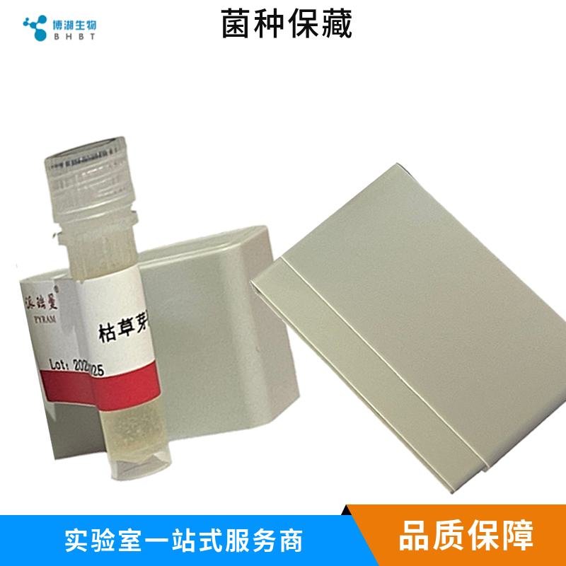 唾液乳杆菌水杨素亚种