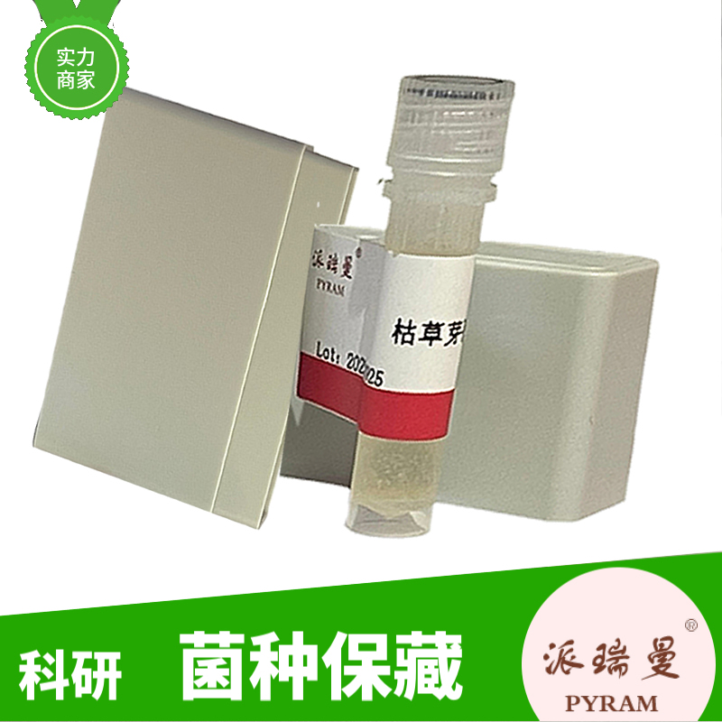 多噬伯克霍尔德氏菌