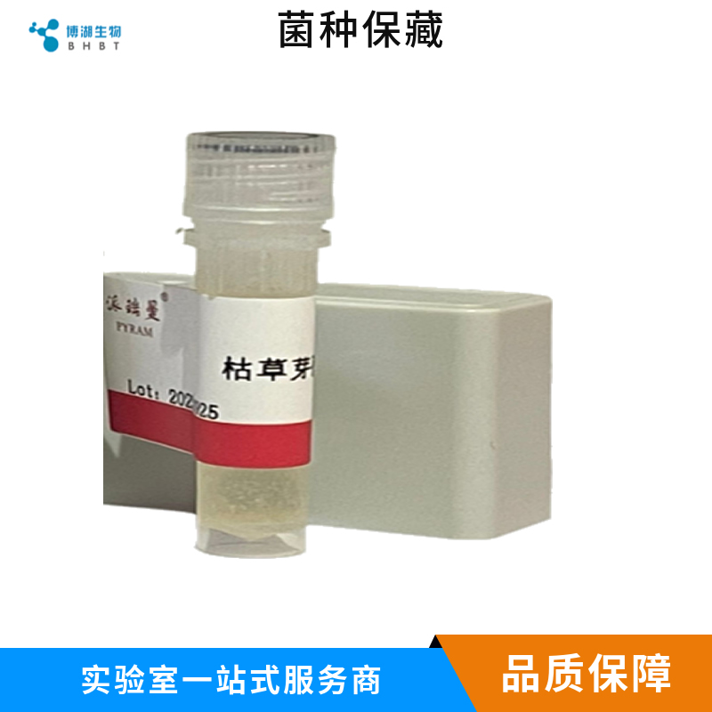 雷氏普罗威登斯菌