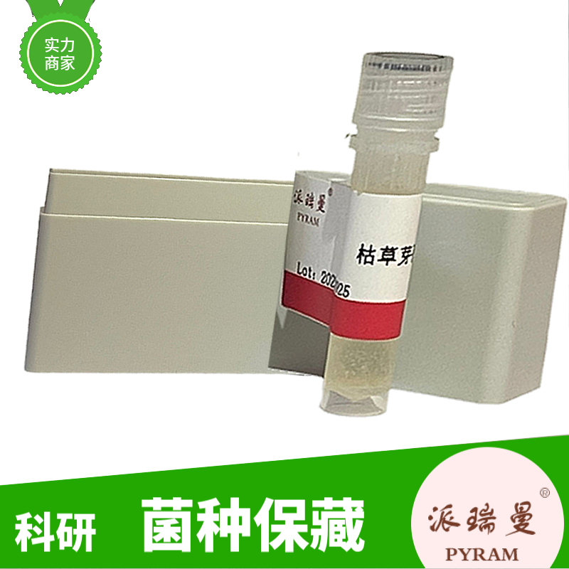 Top10大肠杆菌克隆菌株