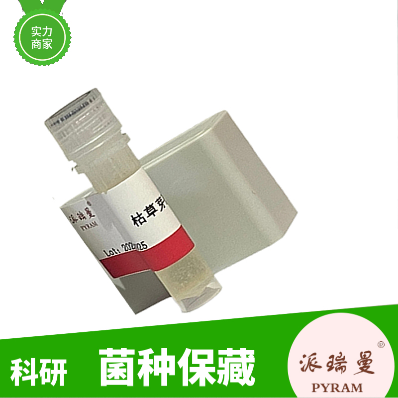 皮氏罗尔斯通氏菌