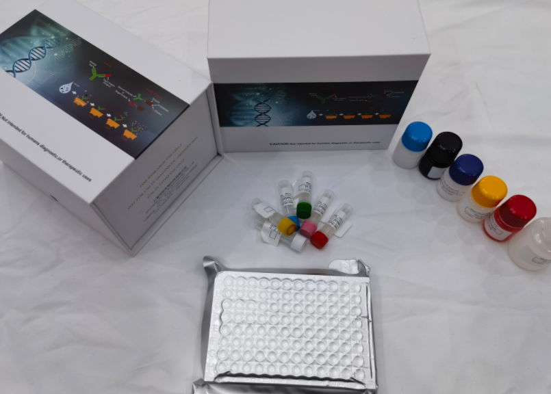 人晚期糖基化终产物特异性受体（RAGE）ELISA试剂盒