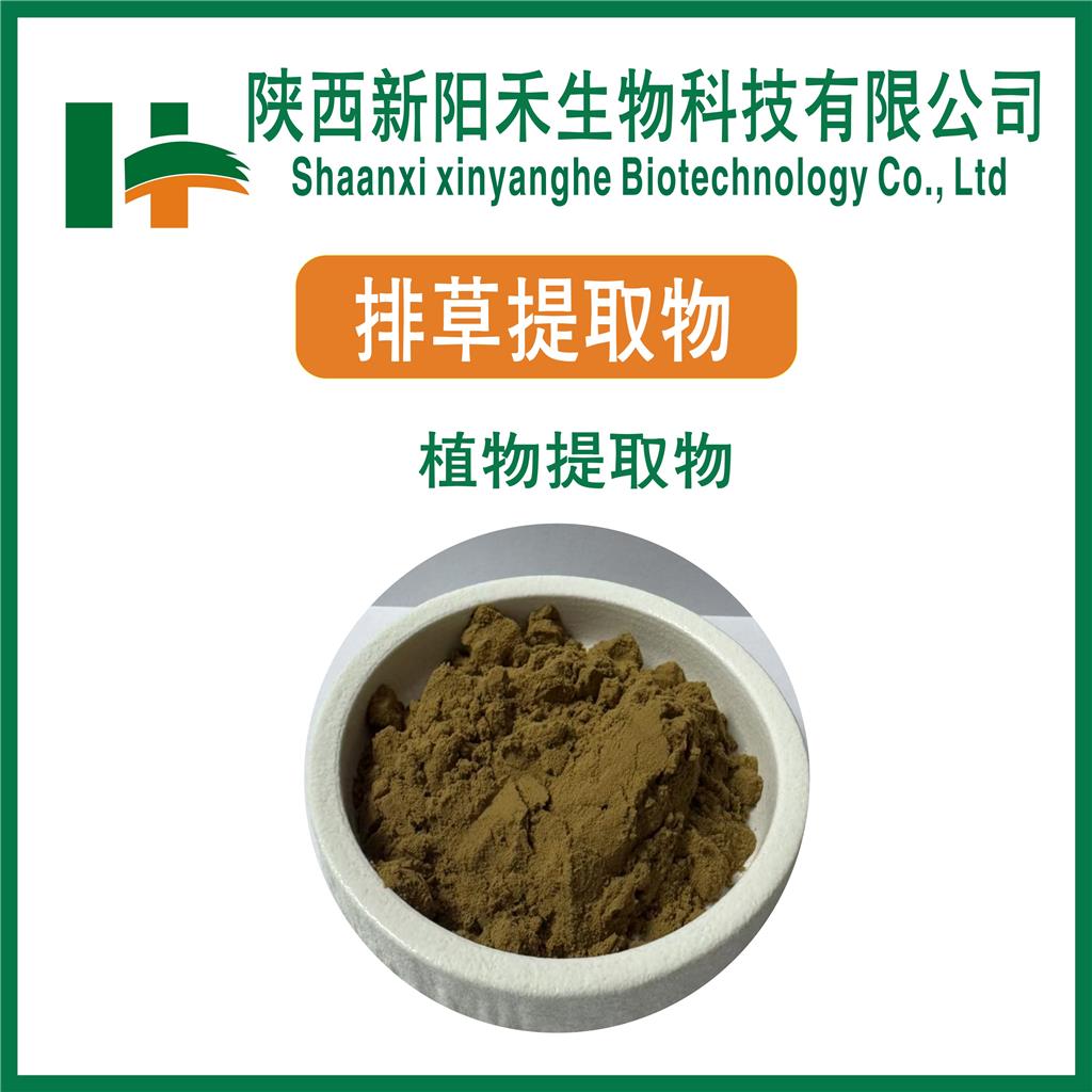 排草提取物    排草浓缩粉